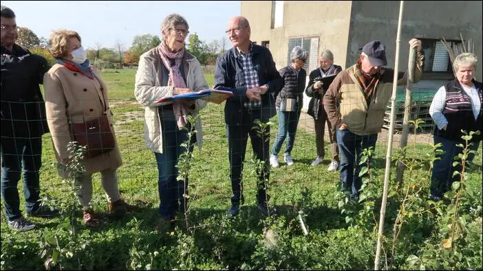 Reconnaissance des arbres fruitiers fruitier fruitier