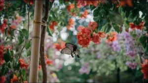 Choisir des plantes adaptées à chaque saison pour assurer une floraison continue.