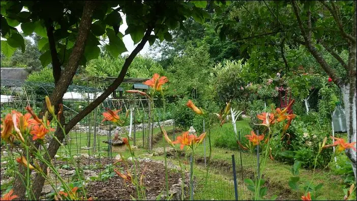 Visite d’un jardin remarquable à St. Martin d'Auxigny jardin remarquable,permaculture,autonomie jardin remarquable,permaculture,autonomie
