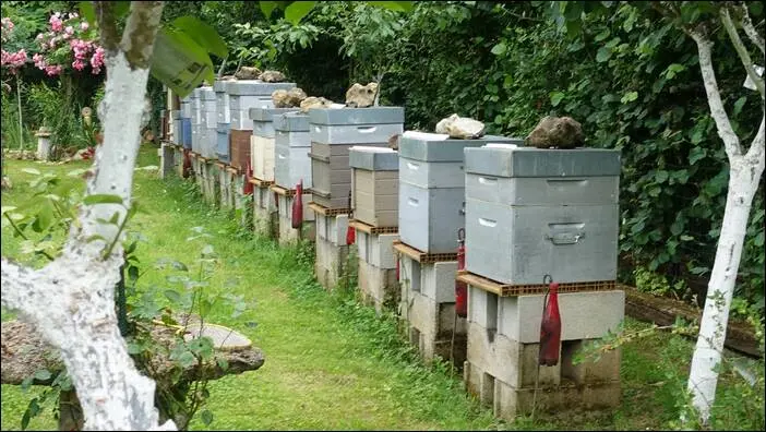 Visite d’un jardin remarquable à St. Martin d'Auxigny jardin remarquable,permaculture,autonomie jardin remarquable,permaculture,autonomie