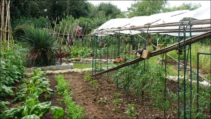 Visite d’un jardin remarquable à St. Martin d'Auxigny jardin remarquable,permaculture,autonomie jardin remarquable,permaculture,autonomie