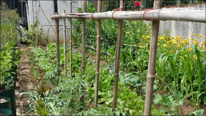 Visite d’un jardin remarquable à St. Martin d'Auxigny jardin remarquable,permaculture,autonomie jardin remarquable,permaculture,autonomie