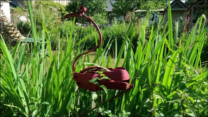 Visite d’un jardin remarquable à St. Martin d'Auxigny jardin remarquable,permaculture,autonomie jardin remarquable,permaculture,autonomie