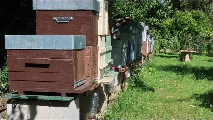 Visite d’un jardin remarquable à St. Martin d'Auxigny jardin remarquable,permaculture,autonomie jardin remarquable,permaculture,autonomie