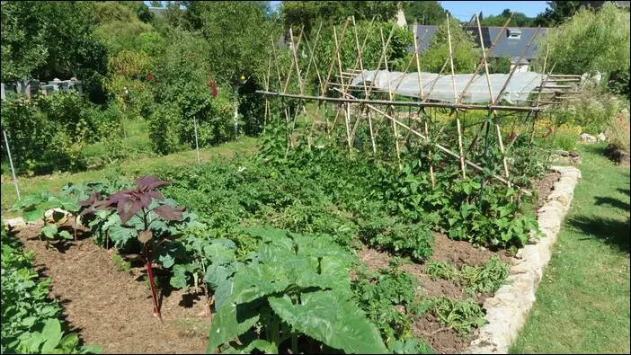Visite d’un jardin remarquable à St. Martin d'Auxigny jardin remarquable,permaculture,autonomie jardin remarquable,permaculture,autonomie