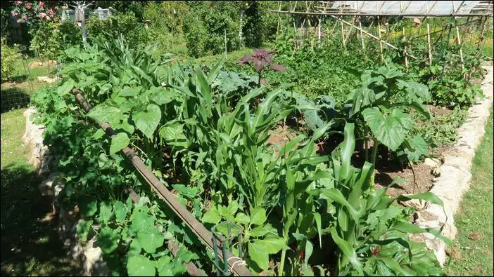 Visite d’un jardin remarquable à St. Martin d'Auxigny jardin remarquable,permaculture,autonomie jardin remarquable,permaculture,autonomie