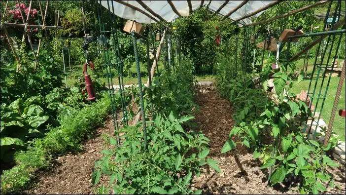 Visite d’un jardin remarquable à St. Martin d'Auxigny jardin remarquable,permaculture,autonomie jardin remarquable,permaculture,autonomie